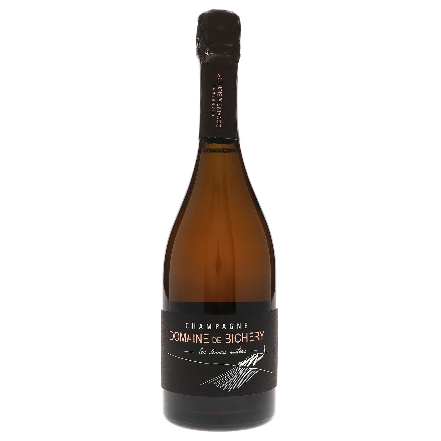 Domaine de Bichery +ヴァンシーメニル 2022 Domaine de Bichery, Les Terres Melees, Champagne – Thatcher's
