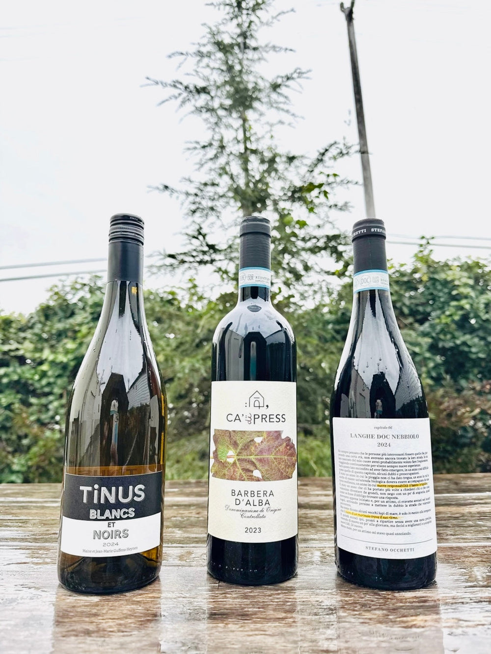 CELLAR ACCESS - JANUARY!