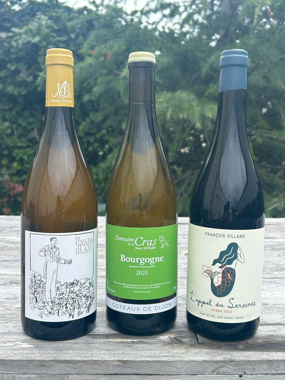 CELLAR ACCESS - JUNE!