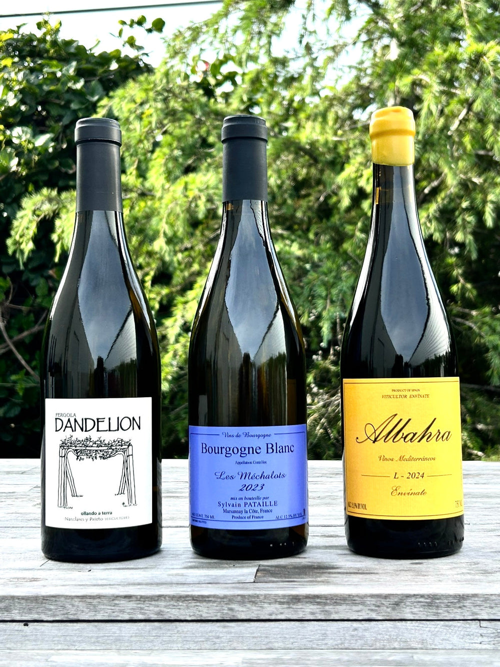 CELLAR ACCESS - APRIL!