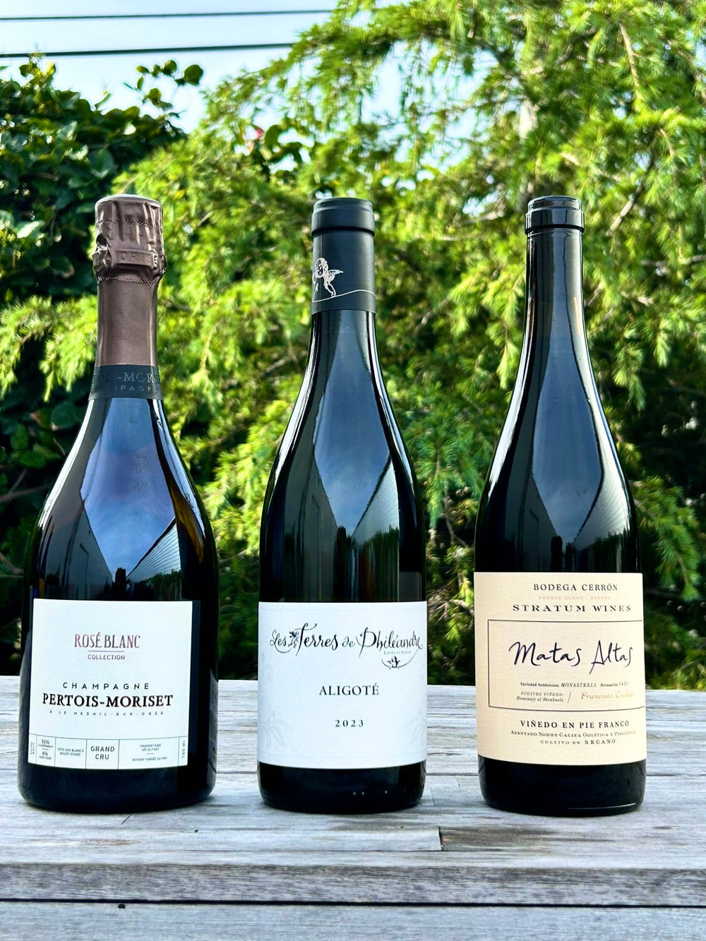 CELLAR ACCESS - APRIL!!