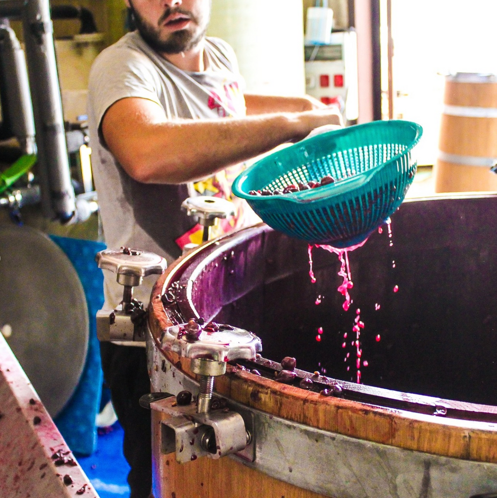 Bodega Cerron (Stratum Wines) as told by Luis Gutierrez of the Wine Advocate