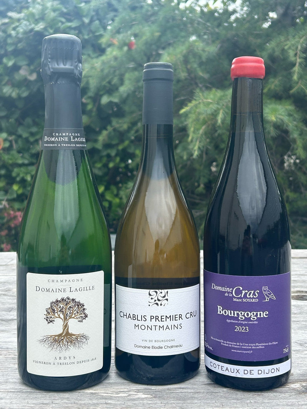CELLAR ACCESS - JUNE!!