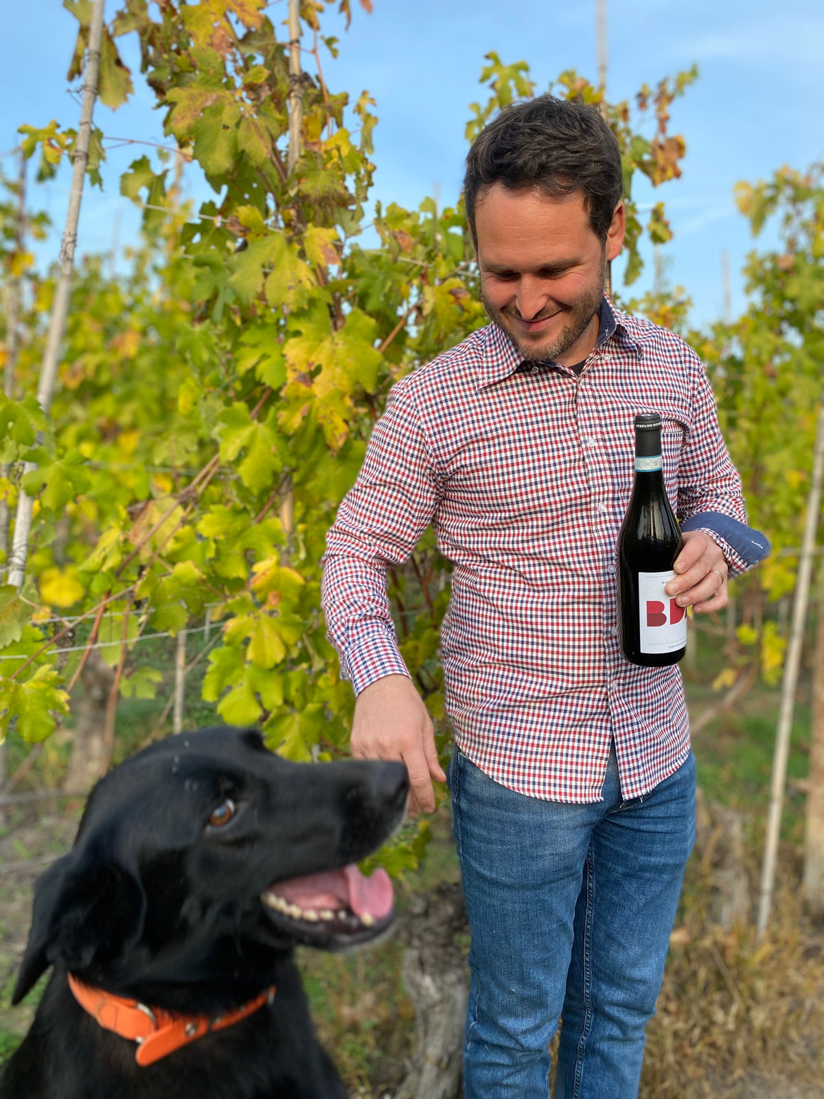 Stefano Occhetti – Thatcher's Wine