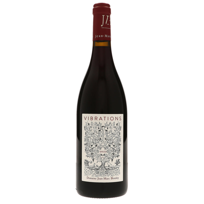 2022 Domaine Jean-Marc Bouley, Bourgogne, Hautes Cotes de Beaune Vibrations