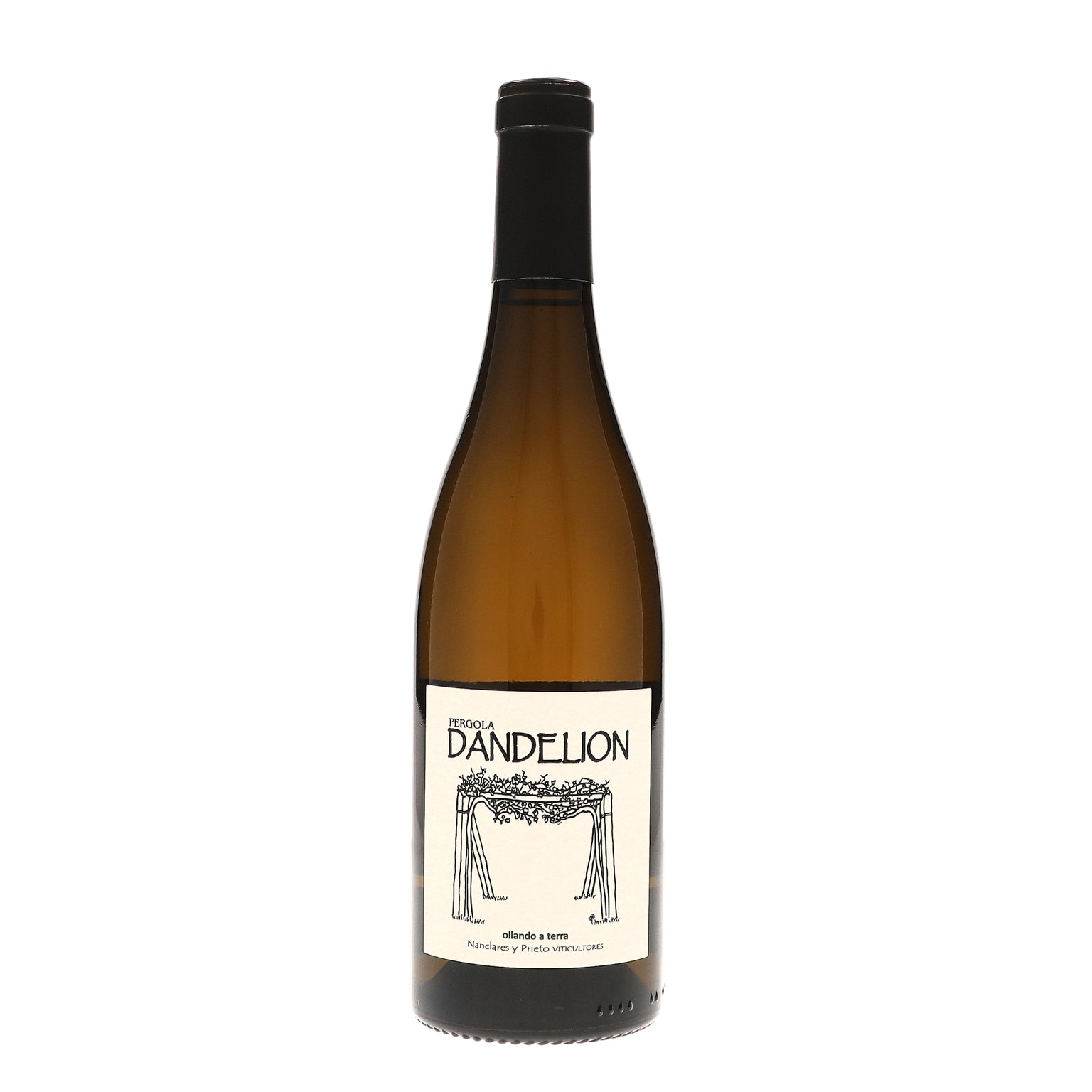 2023 Nanclares, Rias Baixas, Dandelion Albarino