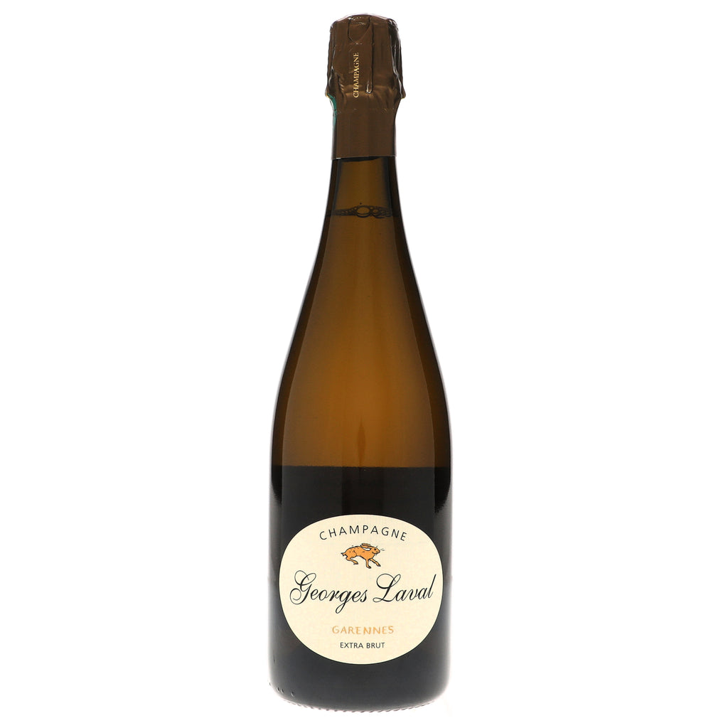 VIDE-13553209_1024x1024.jpg?v=