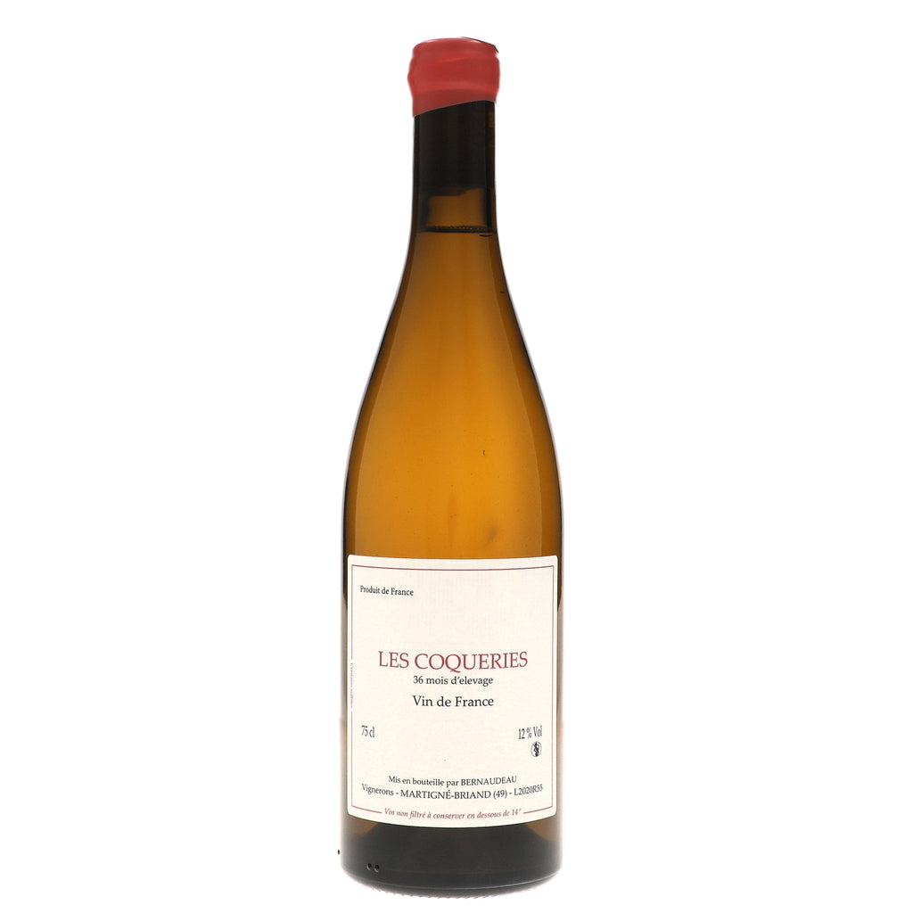 VIDE-17828492_1024x1024.jpg?v=