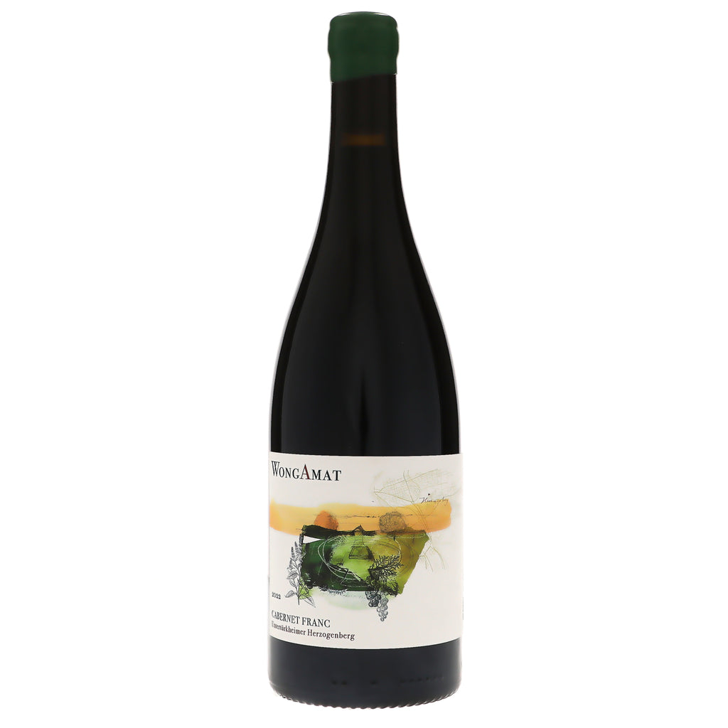 ツィター Anton Kiendl WEIN Austrian zither “Anton Kiendl in Wien” Anton Kiendl, Bavarian no 6